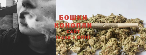 PSILOCYBIN Волосово